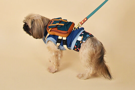 Shih Tzu wearing a Dale Rust style backpack on tan background. The Ruffsack harness is shown connected to a leash.