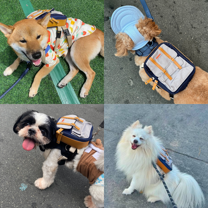 Four photo collage showing different breeds wearing the Dale Navy model Ruffsack backpack, including a Shiba Inu, Poodle, Shih Tzu, and American Eskimo.