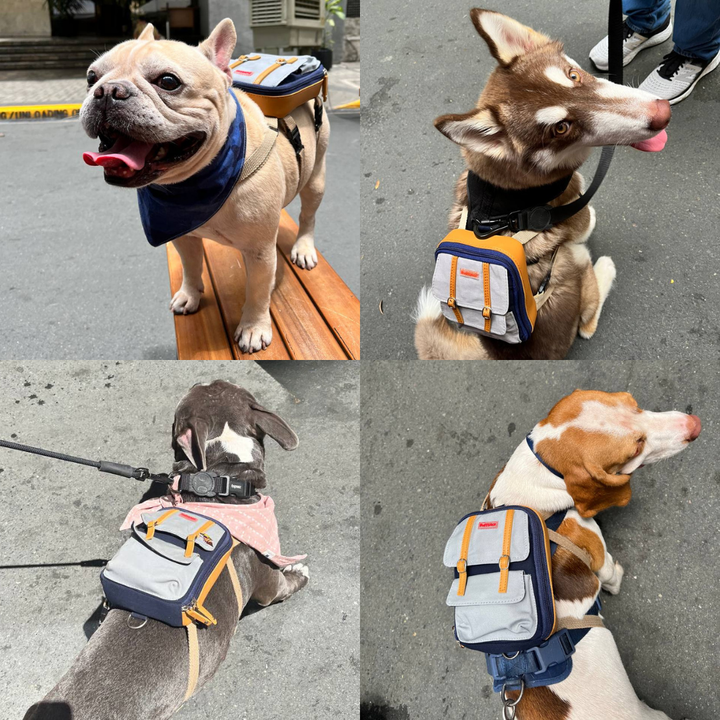 Four photo collage showing different breeds wearing the Dale Navy model Ruffsack backpack, including a French Bulldog, Husky, French Bulldog, and Beagle.