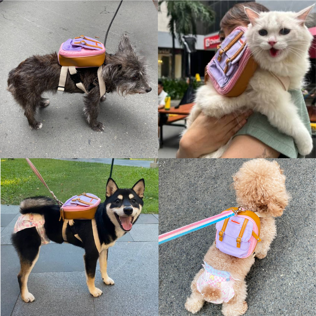 Four photo collage showing different breeds and animals wearing the Dale Pink model Ruffsack backpack, including a Schnauzer, Cat, Shiba Inu, and Poodle.