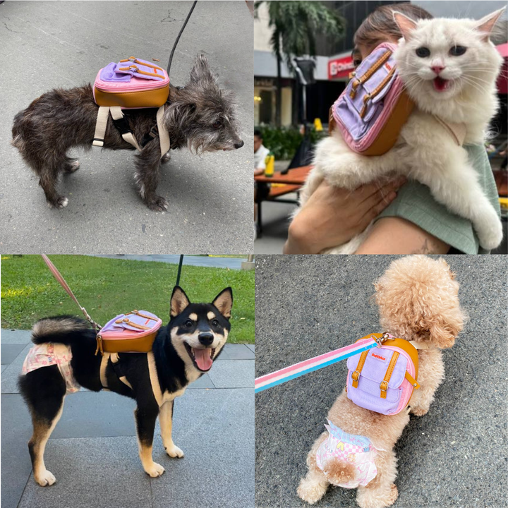 Four photo collage showing different breeds and animals wearing the Dale Pink model Ruffsack backpack, including a Schnauzer, Cat, Shiba Inu, and Poodle.