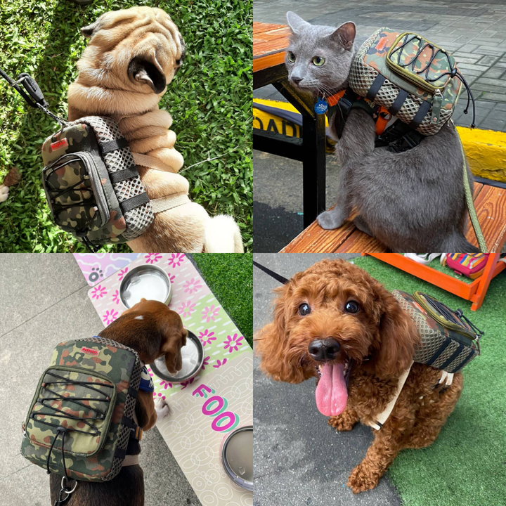 Four photo collage showing different breeds wearing the Scout model Ruffsack backpack, including a Pug, Cat, Beagle, and Poodle.