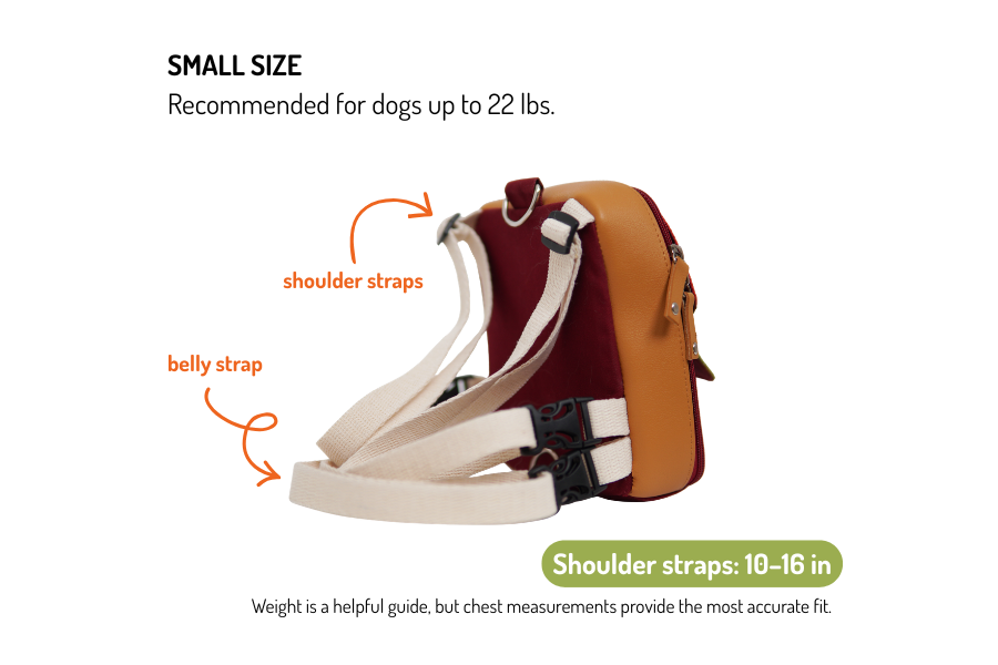 A small-sized dog backpack and harness shown on a white background with text and arrows explaining strap placement. The backpack is tan and burgundy with cream shoulder straps and belly strap with black hardware, labeled for dogs up to 22 lbs. Shoulder straps are adjustable 10 to 16 inches.