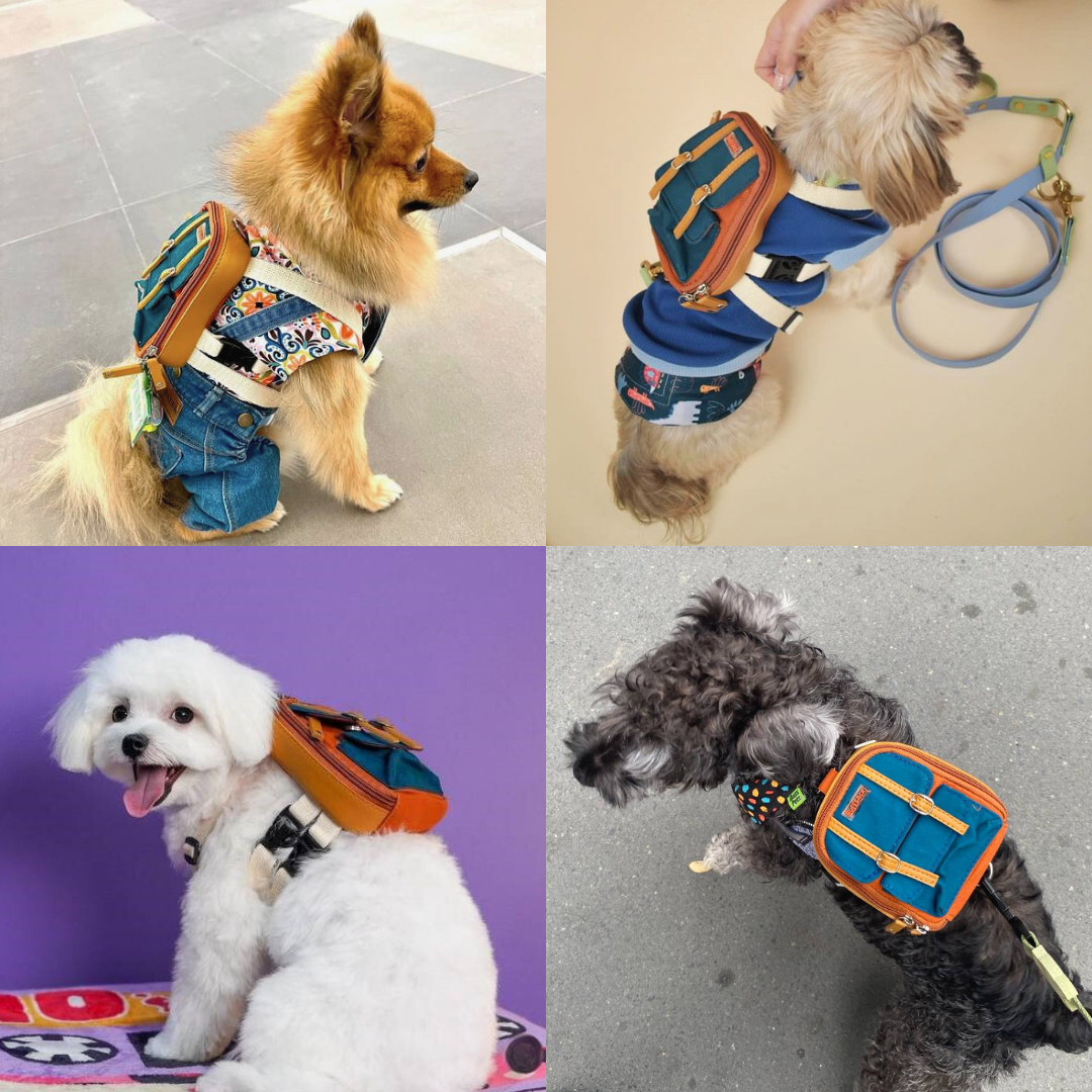 Four photo collage showing different breeds wearing the Dale Rust model Ruffsack backpack, including a Pomeranian, Shih Tzu, Poodle, and Schnauzer.