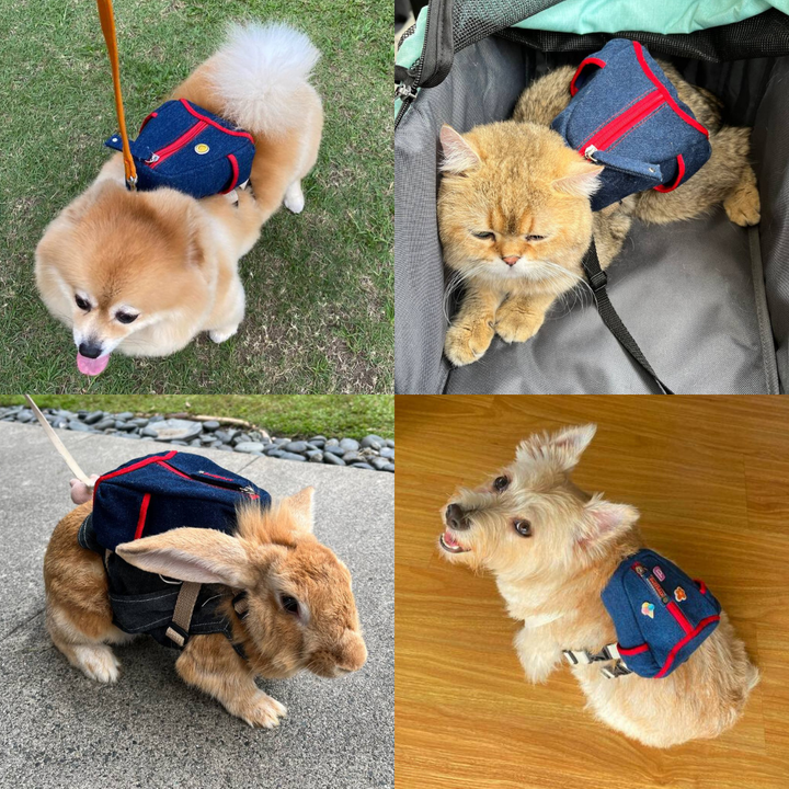 Four photo collage showing different breeds and animals wearing the Lee model Ruffsack backpack, including a Pomeranian, Cat, Rabbit, and Terrier.