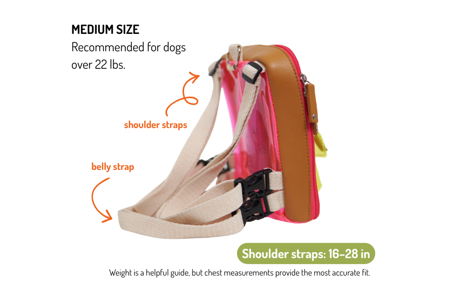 A medium-sized dog backpack and harness shown on a white background with text and arrows explaining strap placement. The backpack has a brown upper section, a bright pink translucent front panel, and beige shoulder and belly straps with black hardware. The bag is labeled for dogs over 22 pounds. Shoulder straps are adjustable 16 to 28 inches.