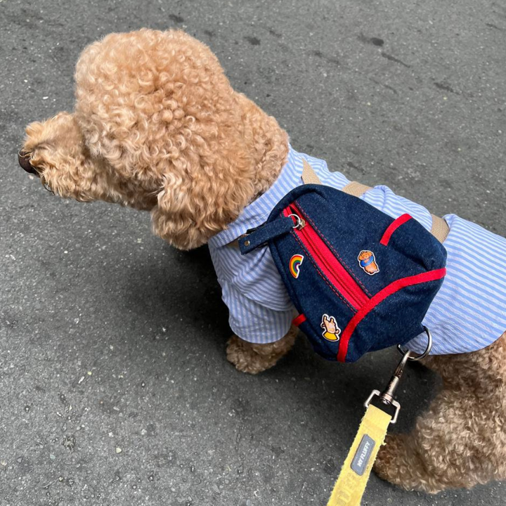 Poodle wearing a Lee style Ruffsack backpack on the street.