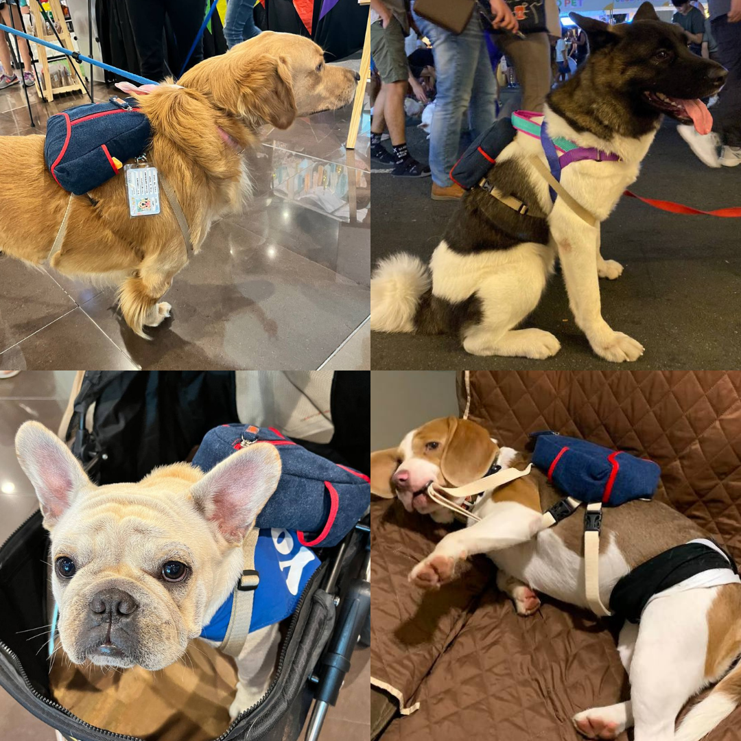 Four photo collage showing different breeds wearing the Lee model Ruffsack backpack, including a Golden Retriever, Akita, French Bulldog, and Terrier.