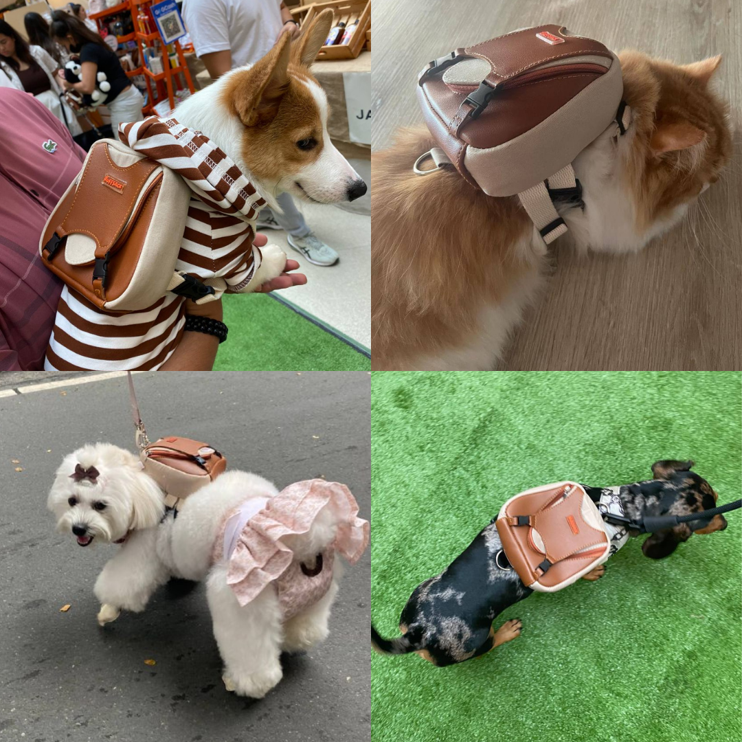 Four photo collage showing different breeds and animals wearing the Reed model Ruffsack backpack, including a Corgi, Cat, Poodle, and Dachshund.