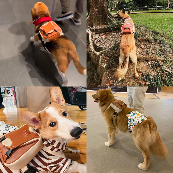 Four photo collage showing different breeds wearing the Reed model Ruffsack backpack, including a Beagle, German Shepard, Corgi, and Golden Retriever.