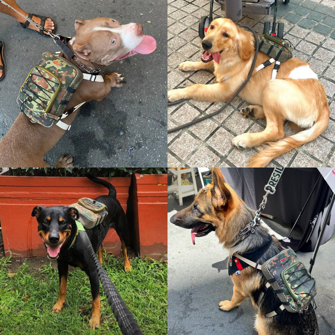 Four photo collage showing different breeds wearing the Scout model Ruffsack backpack, including a Pitbull, Golden Retriever, Rottweiler, and German Shepard.