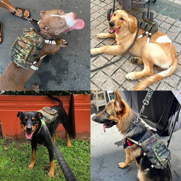 Four photo collage showing different breeds wearing the Scout model Ruffsack backpack, including a Pitbull, Golden Retriever, Rottweiler, and German Shepard.