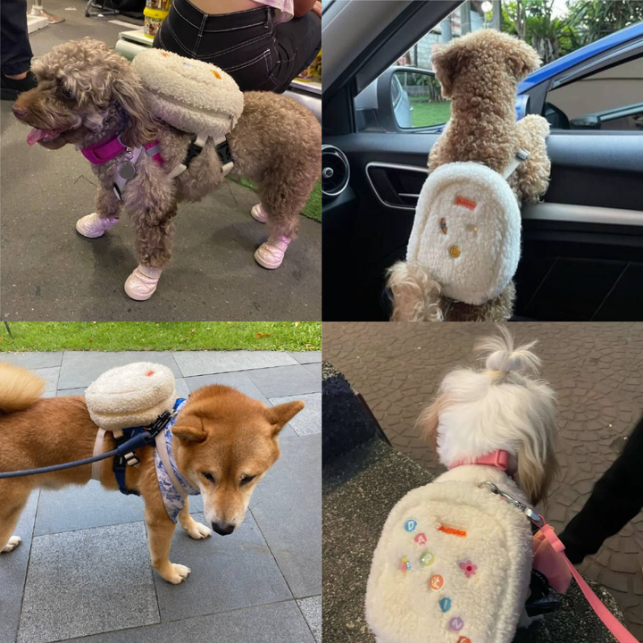 Four photo collage showing different breeds wearing the Finny Fur White model Ruffsack backpack, including a Poodle, Poodle, Shiba Inu, and Shih Tzu.