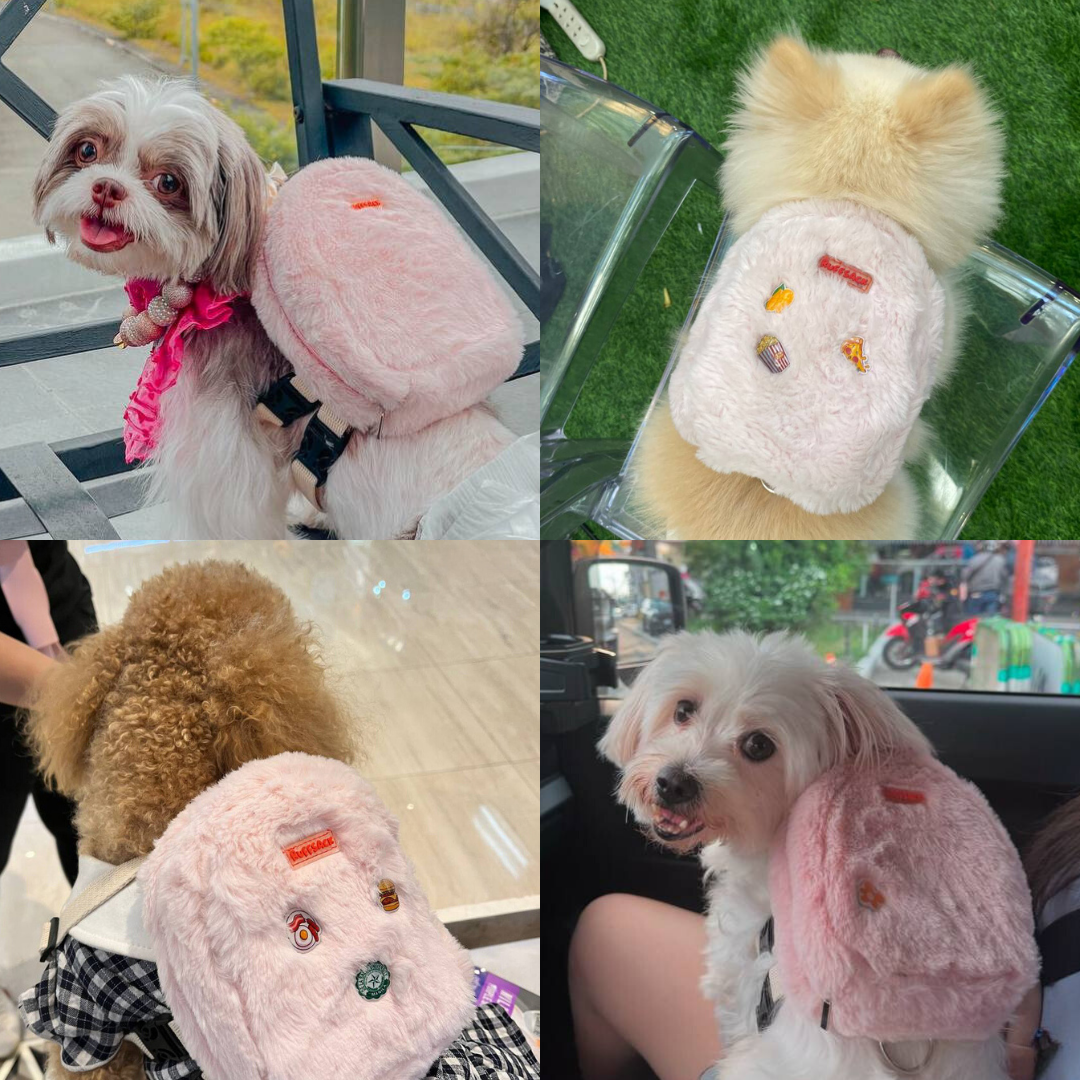 Four photo collage showing different breeds wearing the Finny Fur Pink model Ruffsack backpack, including a Shih Tzu, Pomeranian, Poodle, and Maltese.