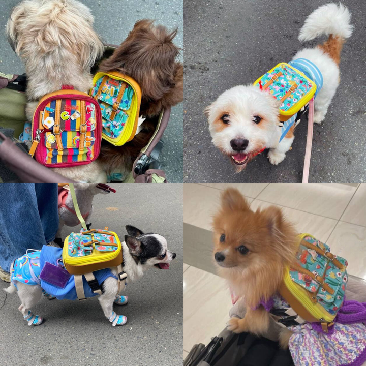 Four photo collage showing different breeds wearing the Dale Floral model Ruffsack backpack, including 2 Shih Tzus, a Poodle, a Chihuahua, and a Pomeranian.