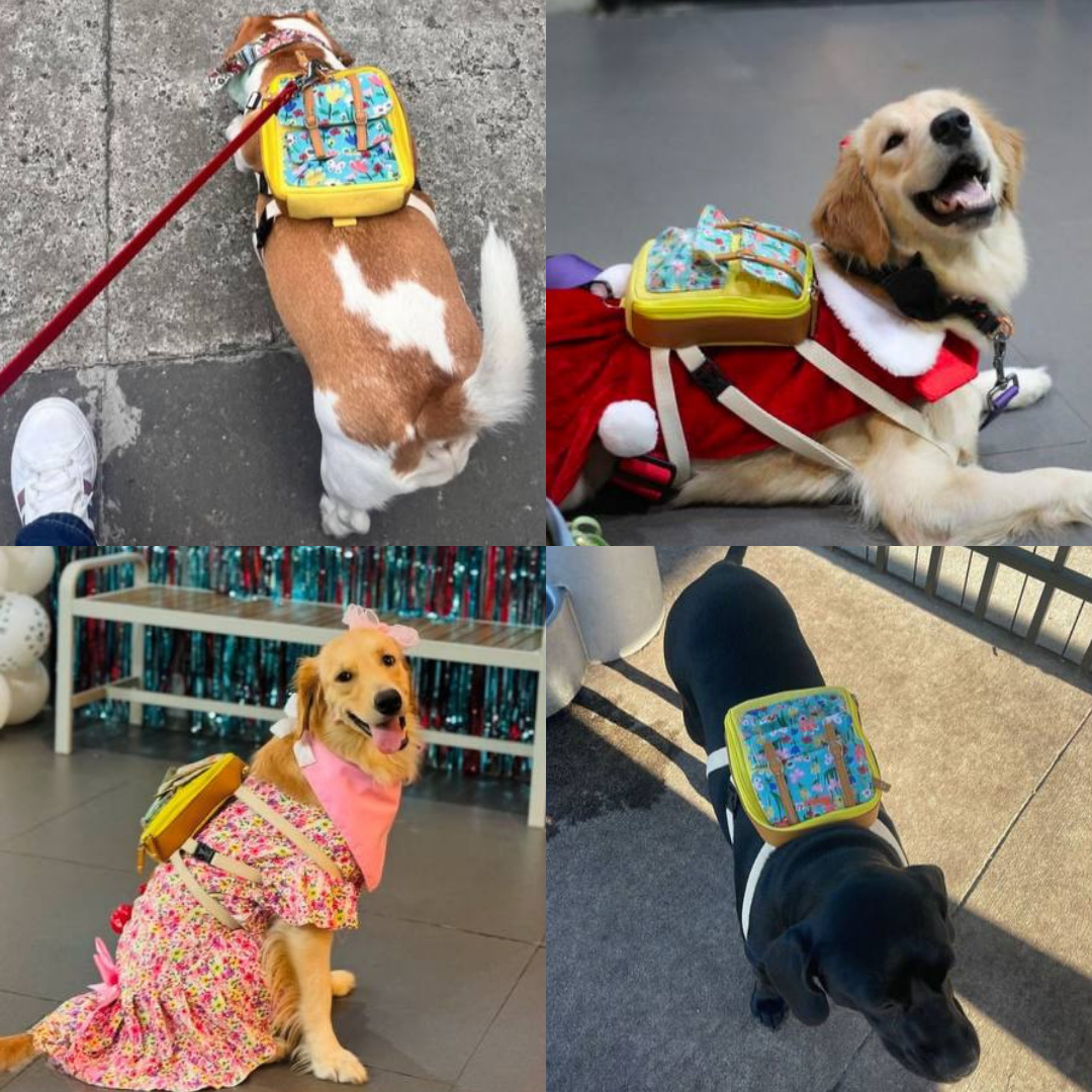 Four photo collage showing different breeds wearing the Dale Floral model Ruffsack backpack, including a Corgi, 2 Golden Retrievers, and a Labrador.
