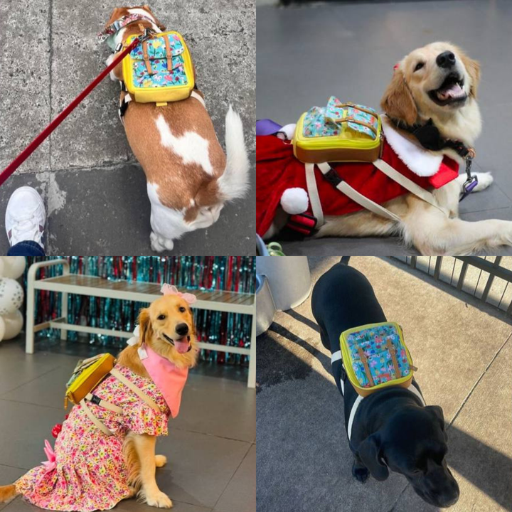 Four photo collage showing different breeds wearing the Dale Floral model Ruffsack backpack, including a Corgi, 2 Golden Retrievers, and a Labrador.