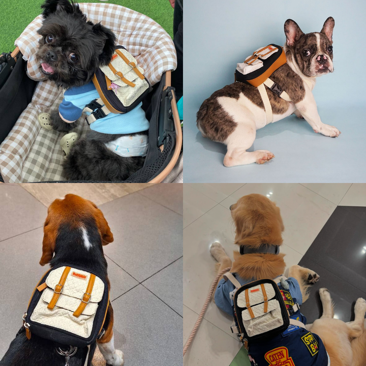 Four photo collage showing different breeds wearing the Dale Black and White model Ruffsack backpack, including a Shih Tzu, French Bulldog, Beagle, and Golden Retriever.