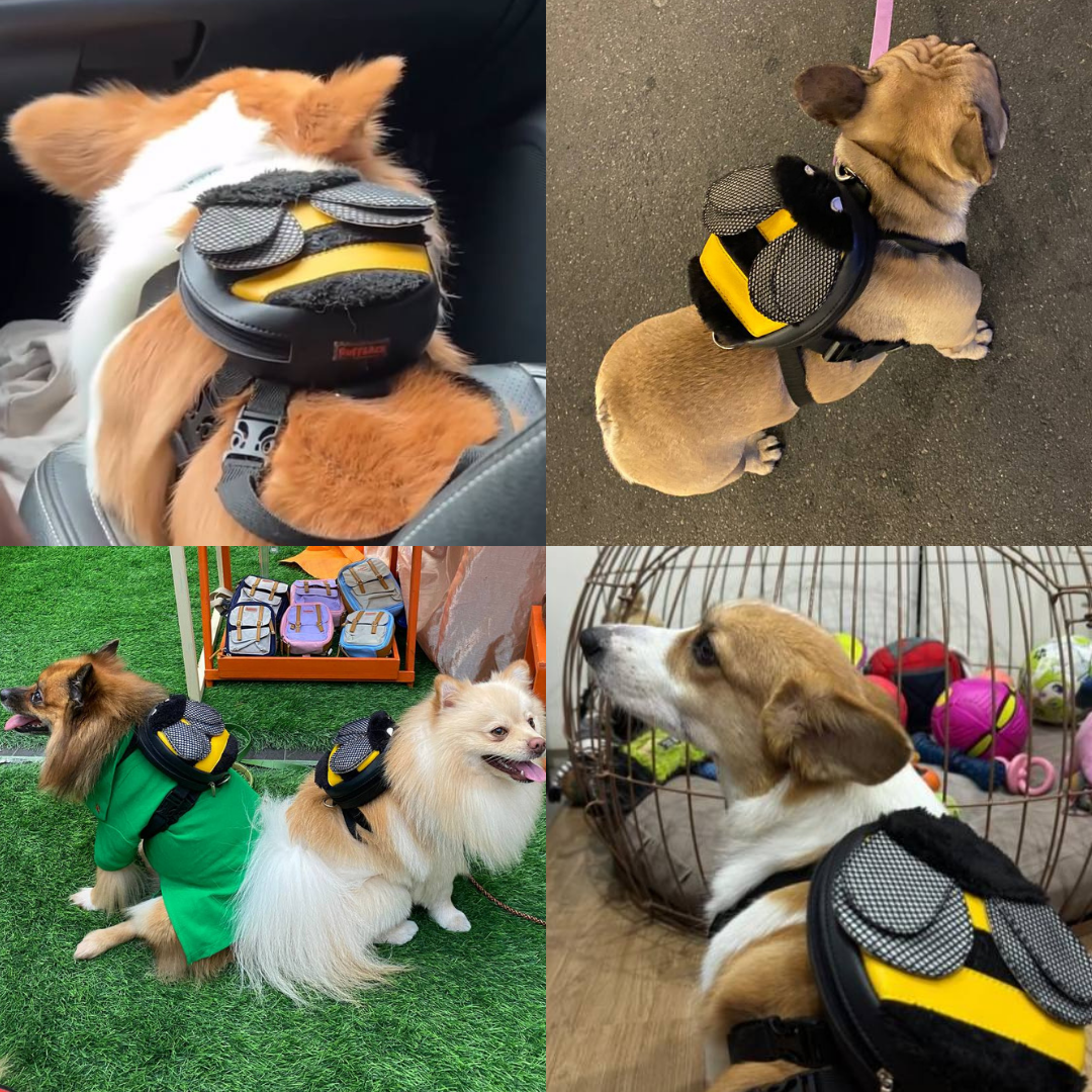 Four photo collage showing different breeds wearing the Bumble Bee model Ruffsack backpack, including a Corgi, French Bulldog, two Papillons, and Mixed Breed.