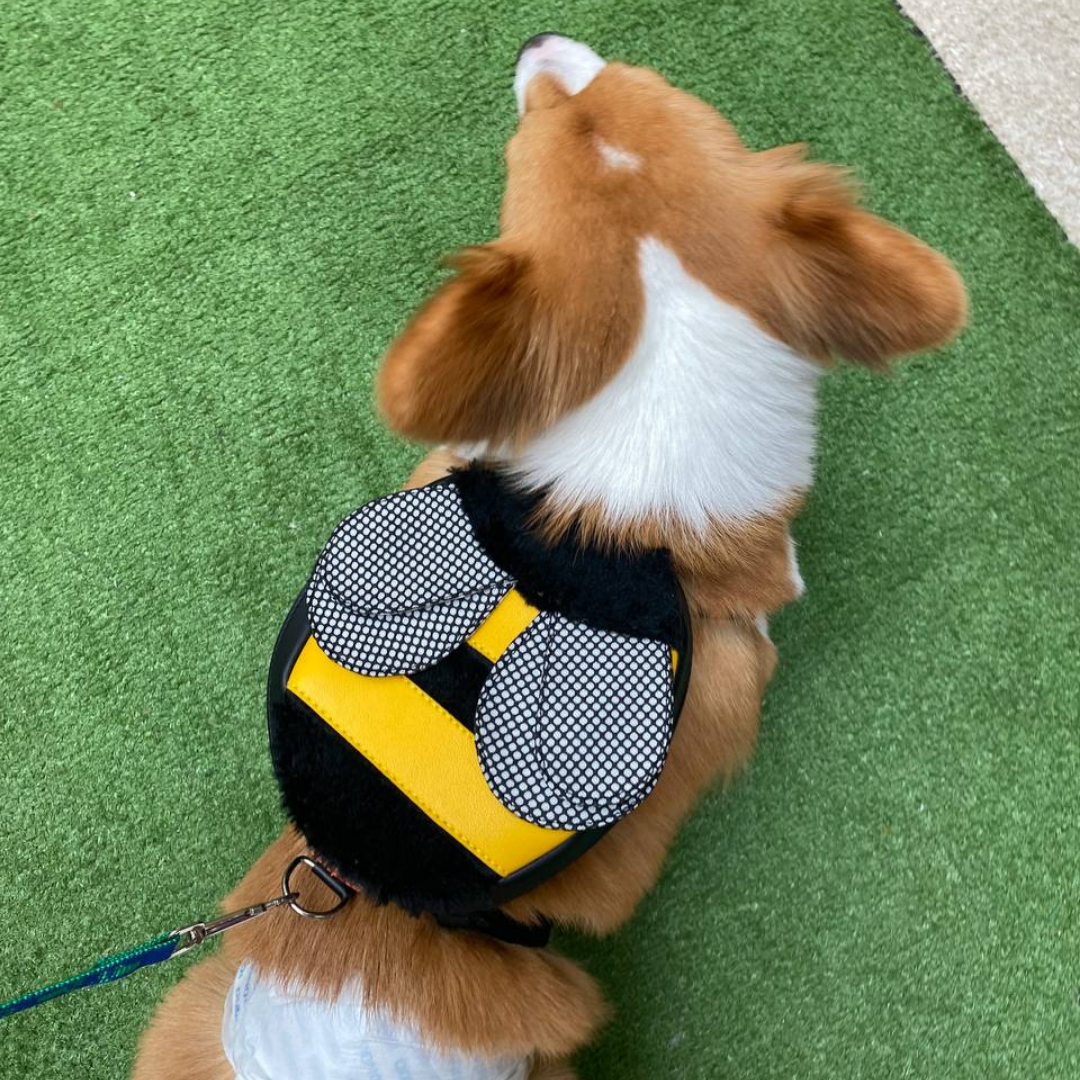 Corgi wearing a Bumble Bee style Ruffsack backpack on Atroturf.