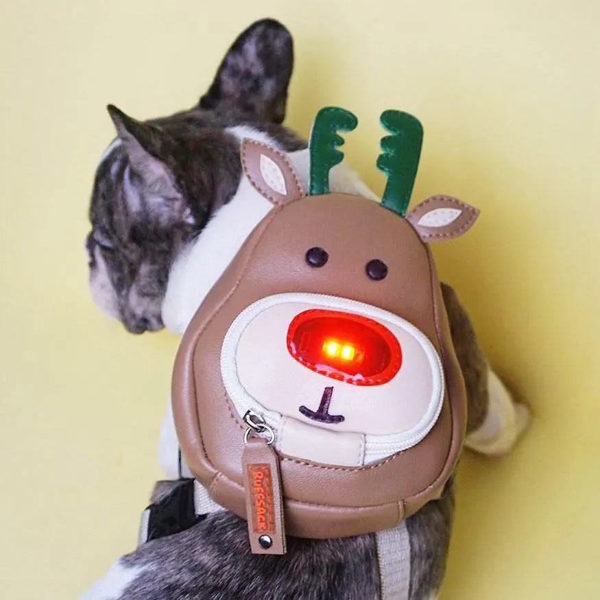 Rudolph model Ruffsack backpack with lit up nose being worn by a French Bulldog.